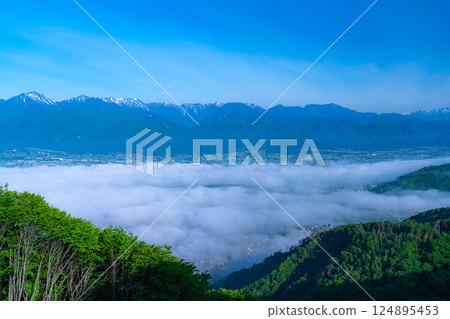 [Sea of clouds material] Sea of clouds in Azumino City in early summer seen from Mount Nagamine [Nagano Prefecture] 124895453