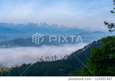 【雲海素材】從長峰山看到的初夏安曇野市的雲海【長野縣】 【雲海素材】從長峰山看到的初夏安曇野市的雲海【長野縣】 124895467