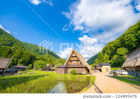 [世界遺產] 初夏的五簇山/菅沼合掌造村落[富山縣] 124895479