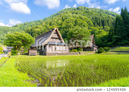 [World Heritage] Gokayama and Suganuma Gassho-style Village in early summer [Toyama Prefecture] 124895486