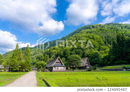 [World Heritage] Gokayama and Suganuma Gassho-style Village in early summer [Toyama Prefecture] 124895487