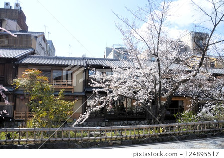 Kyoto · Gion Shirakawa Kyoto · Gion Shirakawa 124895517