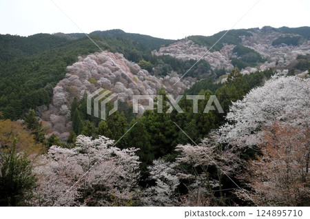 Yoshinoyama 124895710