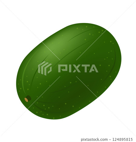 Winter melon icon 124895815