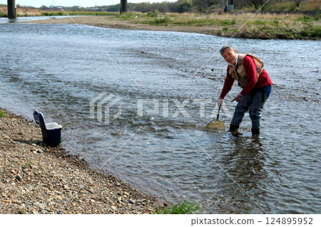 A fisherman wearing waders and catching river insects with a dip net 124895952