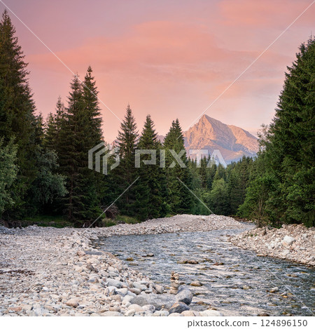 Forest river flowing, coniferous trees on both sides, mount Krivan peak (Slovak symbol) with pink / red clouds above in distance 124896150