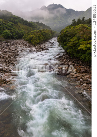 阿爾卑斯山近海屋久島宮之浦河谷的新鮮綠地與河霧 阿爾卑斯山近海屋久島宮之浦河谷的新鮮綠地與河霧 124896513