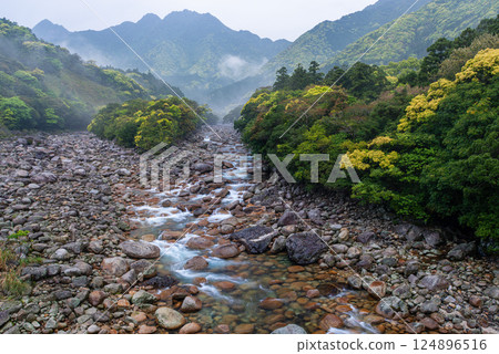 阿爾卑斯山近海屋久島宮之浦河谷的新鮮綠地與河霧 阿爾卑斯山近海屋久島宮之浦河谷的新鮮綠地與河霧 124896516