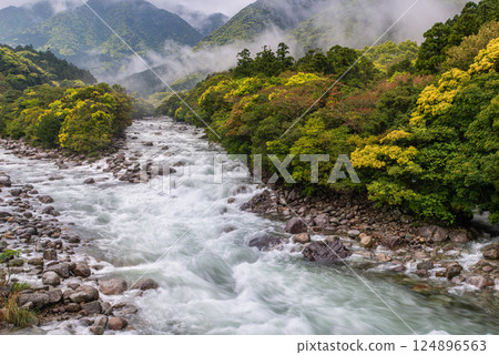 Fresh greenery and river mist in the Miyanoura River Valley, Yakushima, offshore Alps Fresh greenery and river mist in the Miyanoura River Valley, Yakushima, offshore Alps 124896563