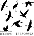 cranes 124896652