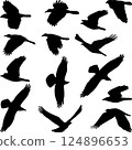 birds silhouettes 124896653