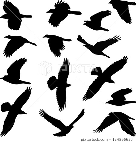 birds silhouettes 124896653