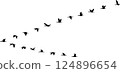 V formation 124896654