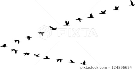 V formation V formation 124896654