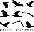 crow 124896655