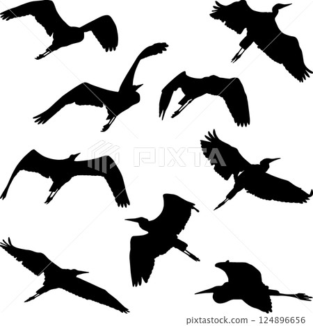 heron heron 124896656