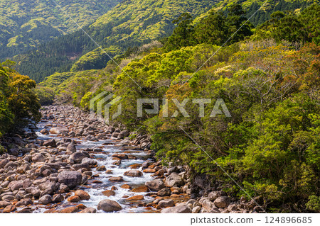 宮之浦川谷、屋久島、阿爾卑斯山近海的新鮮綠地 宮之浦川谷、屋久島、阿爾卑斯山近海的新鮮綠地 124896685