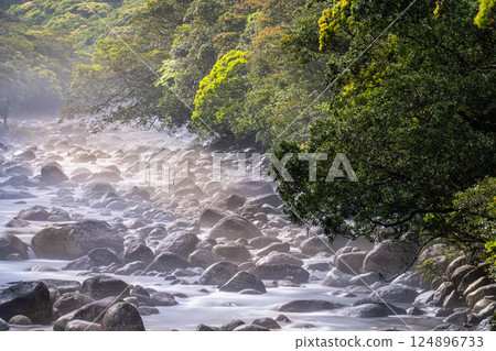 Fresh greenery and river mist in the Miyanoura River Valley, Yakushima, offshore Alps Fresh greenery and river mist in the Miyanoura River Valley, Yakushima, offshore Alps 124896733