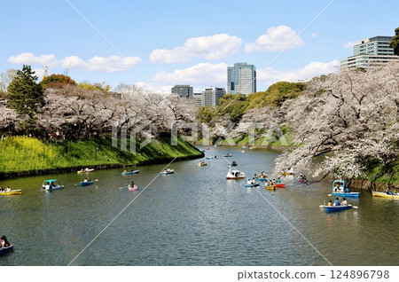櫻花盛開的東京千鳥淵 124896798