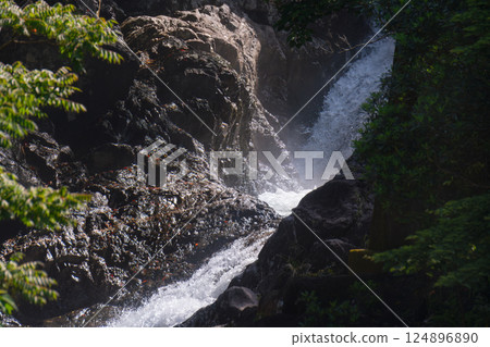 Roaring Sekiri River Valley World Natural Heritage Yakushima (Spring 124896890