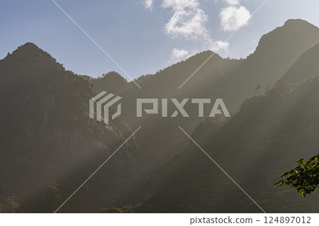 斜光，宛如水墨畫，世界自然遺產屋久島（春天） 124897012