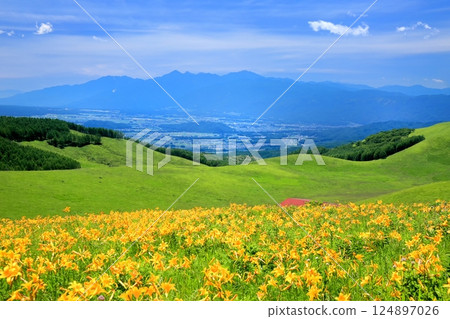 Nikko Kishge at the Kirigamine plateau 124897026