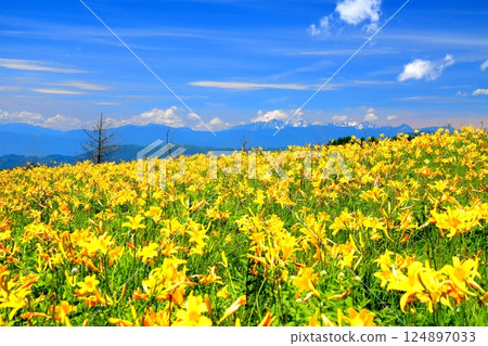 Nikko Kishge at the Kirigamine plateau 124897033
