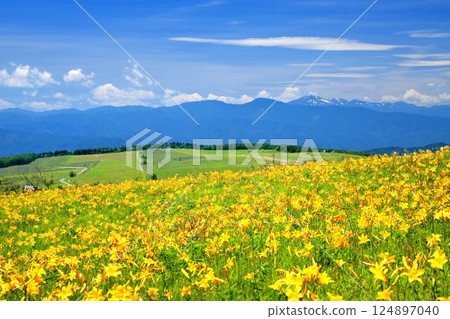 Nikko Kishge at the Kirigamine plateau 124897040