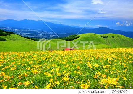 Nikko Kishge at the Kirigamine plateau 124897043