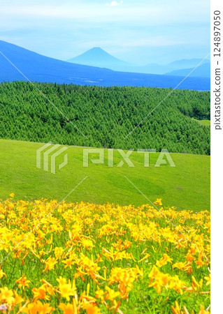 Kirigamine高原的Nikko Kishge Kirigamine高原的Nikko Kishge 124897050