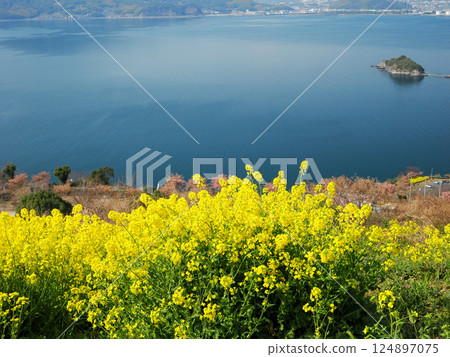 笠戶島：日落之丘與油菜花 124897075