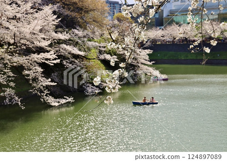 櫻桃樹盛開Chidorigafuchi和一條船 124897089