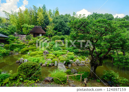Garden and teahouse at Toji-in Temple, Kyoto, Seiren-tei 124897159