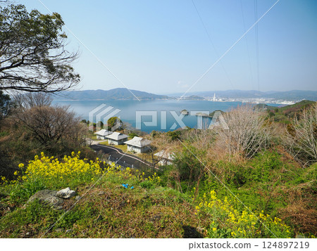 Kasado Island: Sunset Hill and Rape Blossoms 124897219