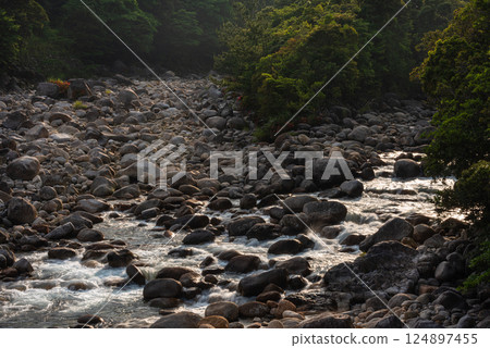 閃耀的河面、宮之浦川谷、屋久島、阿爾卑斯山近海（春季） 124897455
