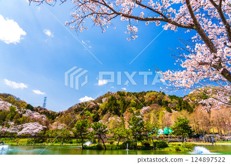 春釣公園 東京Summerland 春釣公園 東京Summerland 124897522