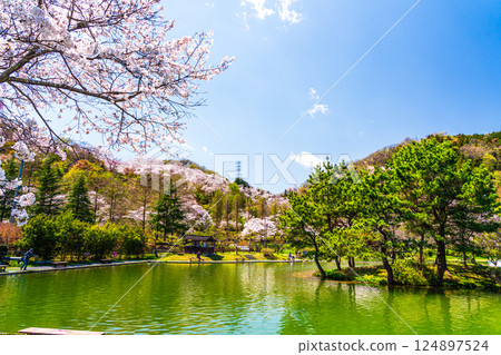 春釣公園 東京Summerland 124897524