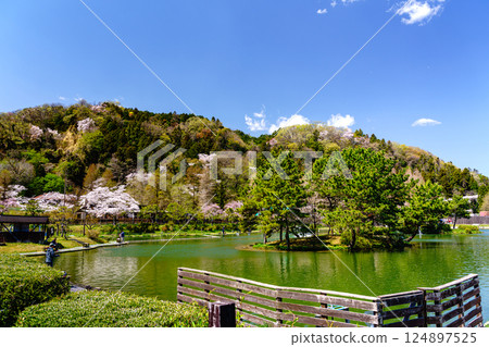 春釣公園 東京Summerland 春釣公園 東京Summerland 124897525
