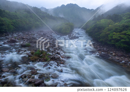 River mist, Miyanoura River Valley, Yakushima, Offshore Alps (Spring) 124897626