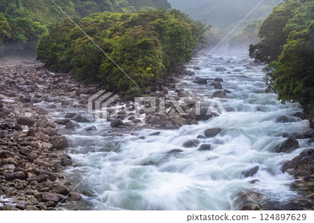 River mist, Miyanoura River Valley, Yakushima, Offshore Alps (Spring) 124897629