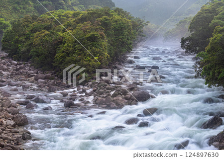 River mist, Miyanoura River Valley, Yakushima, Offshore Alps (Spring) River mist, Miyanoura River Valley, Yakushima, Offshore Alps (Spring) 124897630