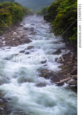 River mist, Miyanoura River Valley, Yakushima, Offshore Alps (Spring) River mist, Miyanoura River Valley, Yakushima, Offshore Alps (Spring) 124897631