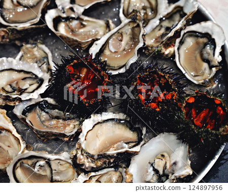 Top view of seafood platter: shellfish, oysters, sea urchin and balsamic sauce Top view of seafood platter: shellfish, oysters, sea urchin and balsamic sauce 124897956