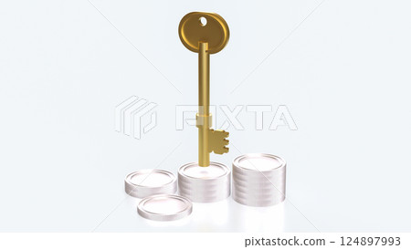 The Key and coins for Business concept 3d Rendering. 124897993