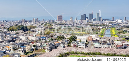 埼玉縣見沼稻田櫻花長廊的空拍照片，無人機拍攝 124898025