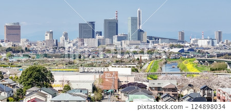 Aerial photography of Saitama Prefecture: Drone captures spring scenery of Minuma rice fields 124898034