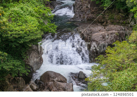 Yakushima World Natural Heritage Valley (June) Sekirigawa Valley in early summer 124898501