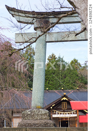 Asuwa Shrine nearing spring 124898724