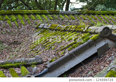 Asuwa Shrine nearing spring 124898728