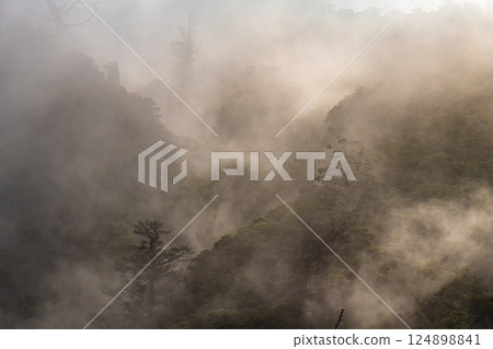 Light and fog like a sumi-e painting World Natural Heritage Yakushima (Summer) Light and fog like a sumi-e painting World Natural Heritage Yakushima (Summer) 124898841